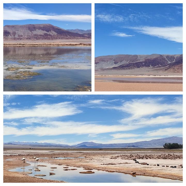 CAMPO DE PIEDRA POMEZ. LAGUNA, VOLCAN Y SALAR CARACHI PAMPA. - ARGENTINA INFINITA II/ TORRES DEL PAINE (16)
