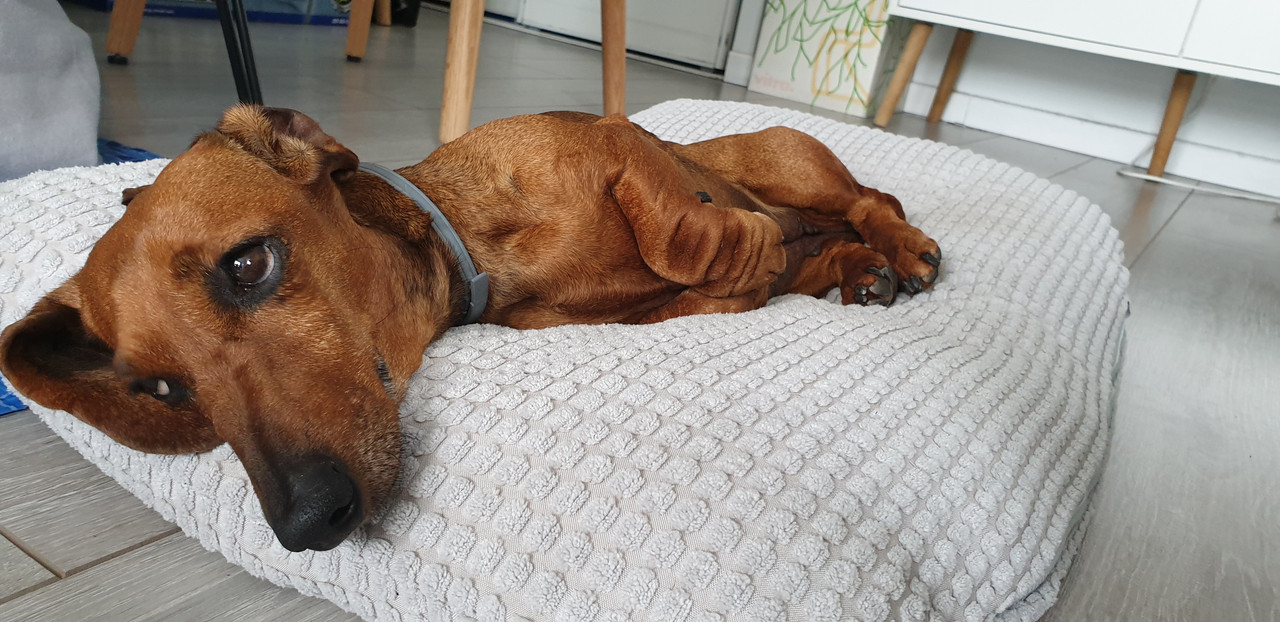 [Image: 20200626-133650.jpg]