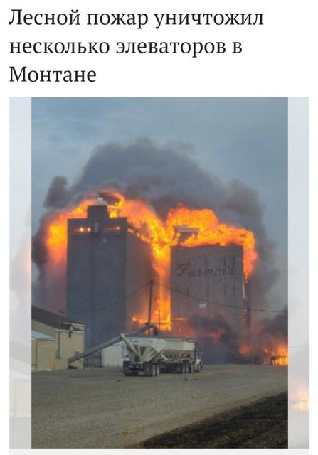 https://i.postimg.cc/NFRFcWL4/photo-2023-07-22-11-06-08.jpg