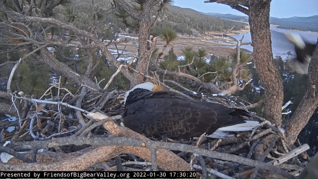 Webp.net-gifmaker (1)