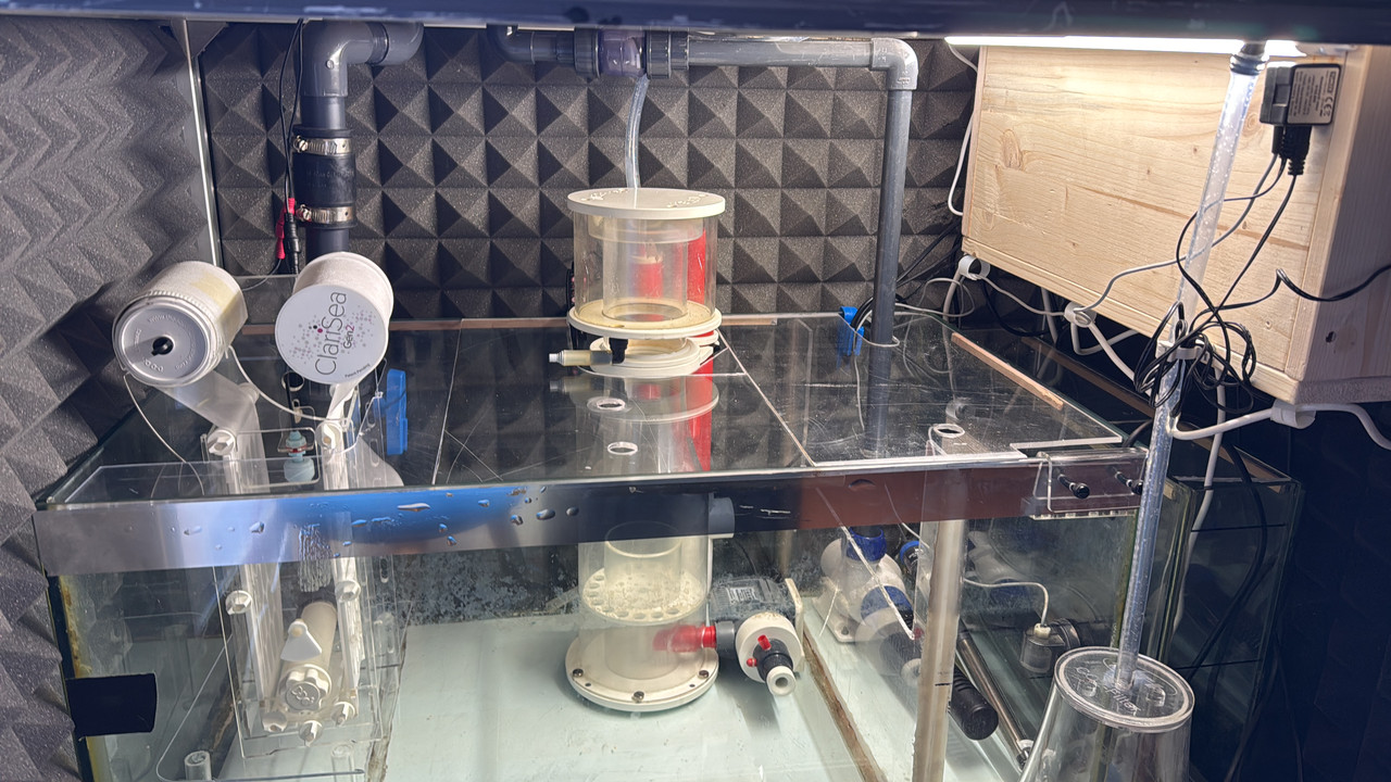 12CFBE38-248A-4B2E-8CD5-7A0DB2E022C4