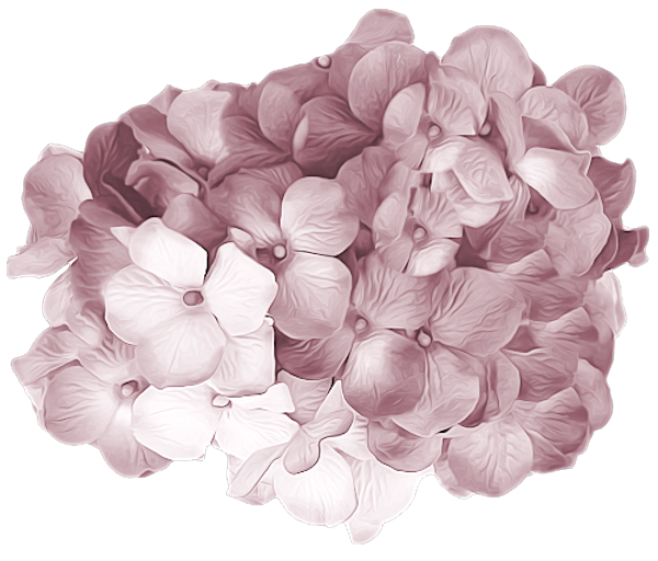TADD_elements_PrincessParisian (3)