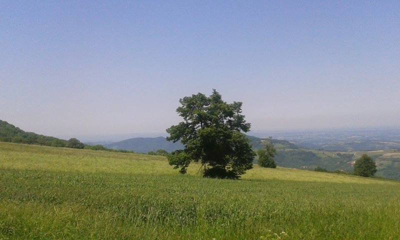 Slika