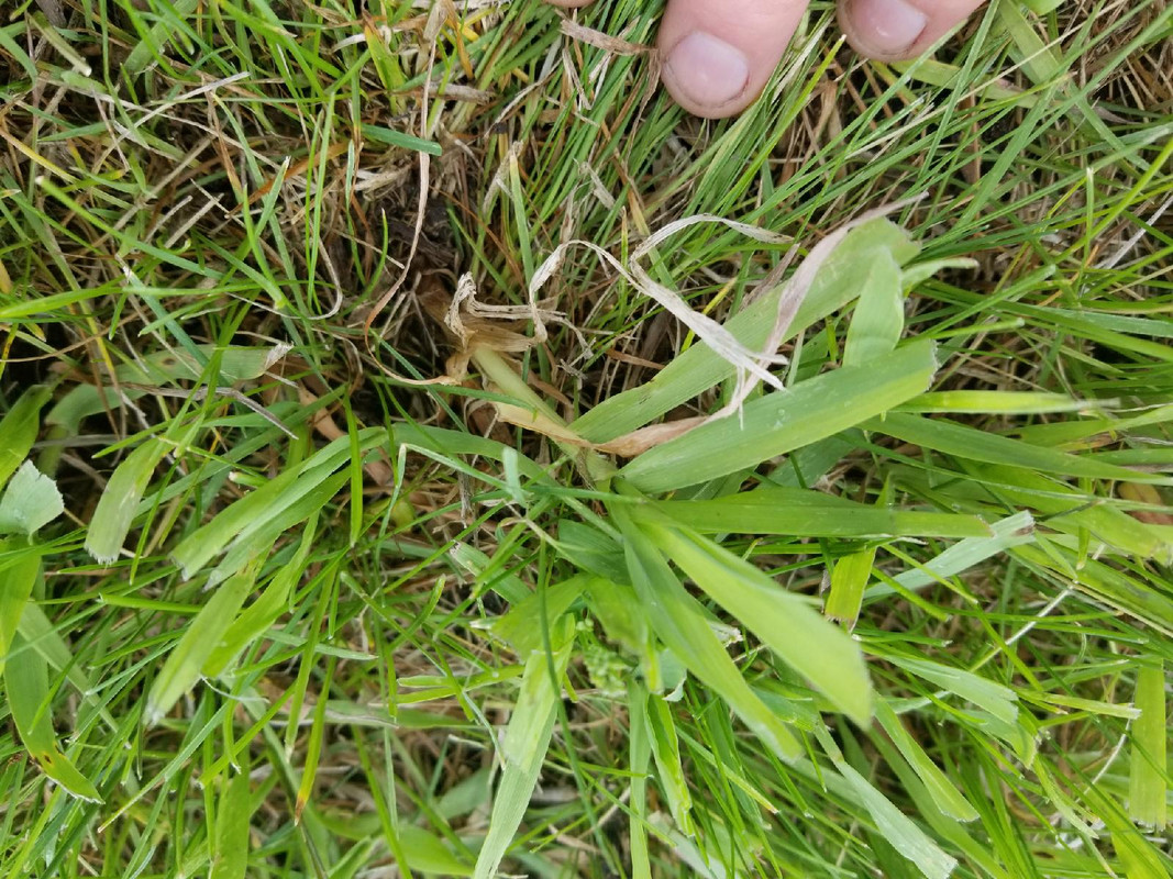 Resized_20170521_142017