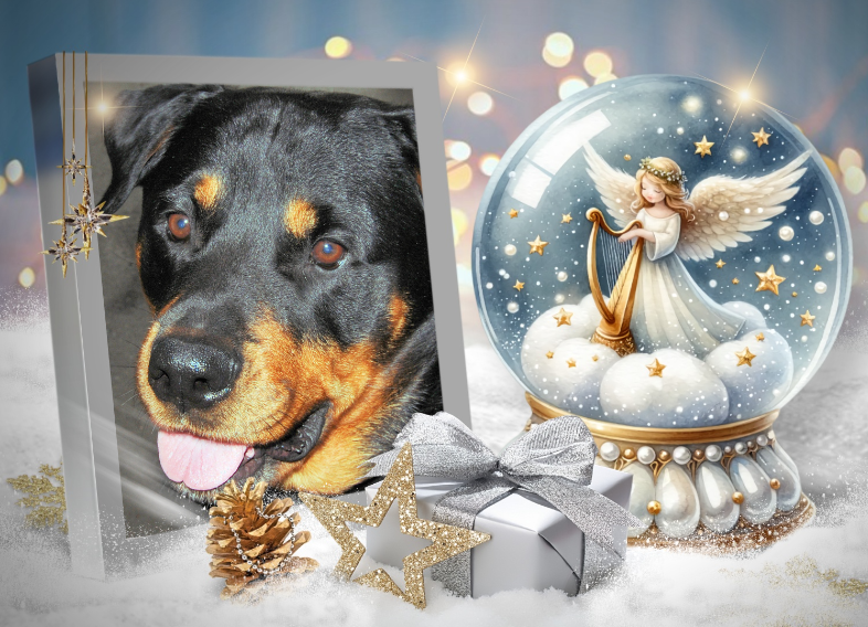 ZZZZZZZZZZZZZZZZZZZZZZZZZZZZZZZZZZZZZZZZZZZZZZZZZZZZZZZZZZZZZZZZZZZZZZZZZZZZZZZZZZZ V Sally