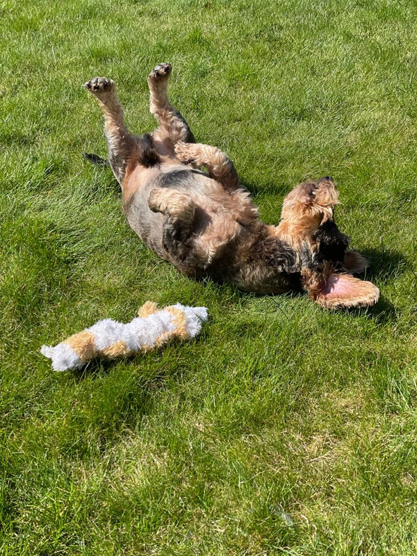 [Image: CF420-AA6-546-E-4-FF0-BEC8-EDF0-F7-E4-D5-B1.jpg]