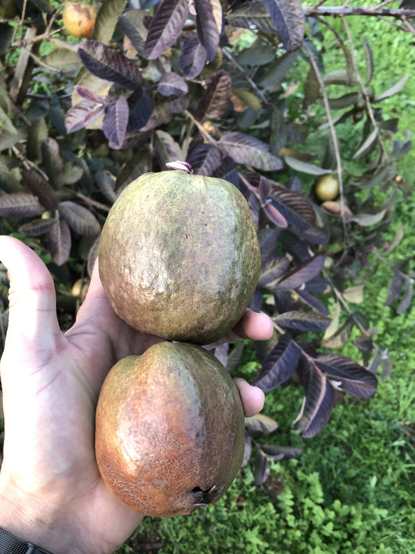 6B7A7CDC-D017-411C-AEA0-D36B1E298969