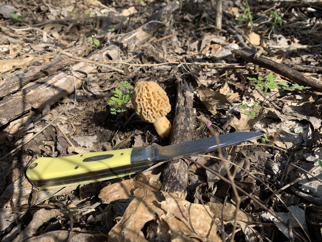 6A7EF06C-D352-45E0-B490-2125E9B042CA