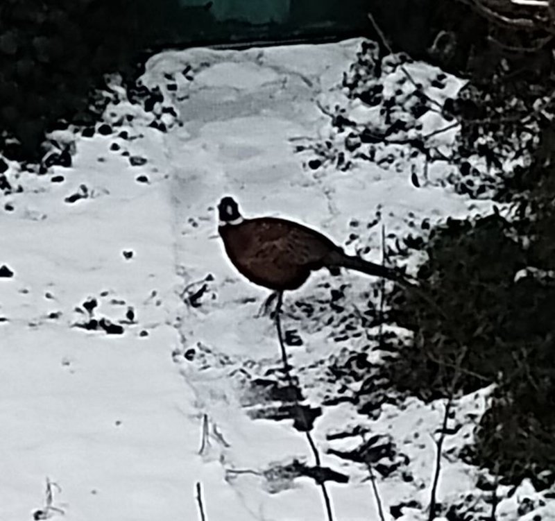 изображение_viber_2025-03-03_16-40-24-619