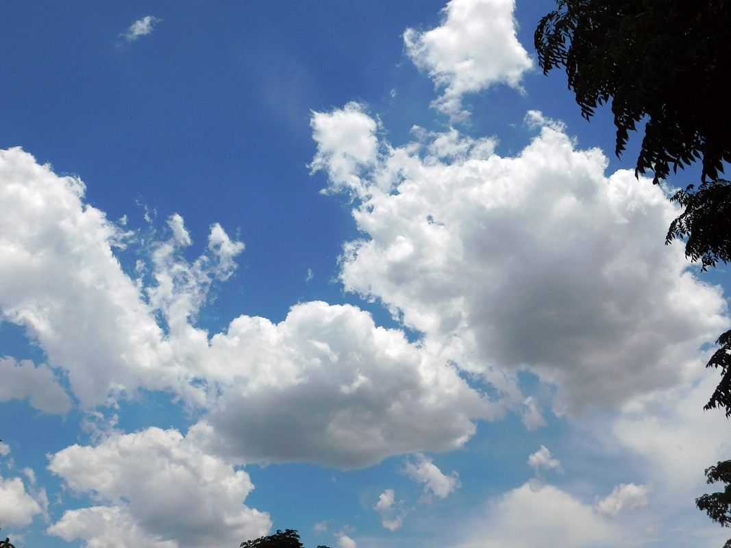DSCN0201