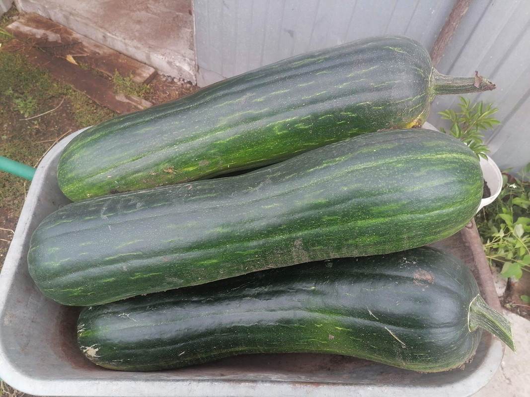 i - 2024-09-23T204127.644