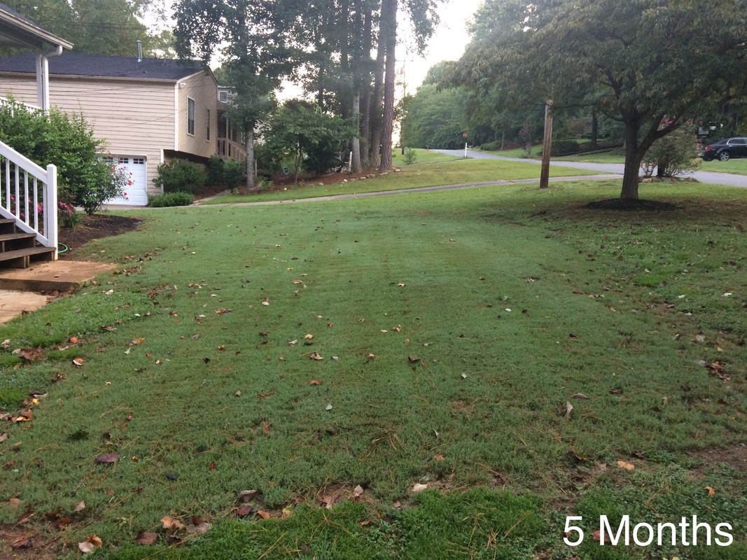 24E9A3BA-2B40-426F-83D5-4BB578F451D4