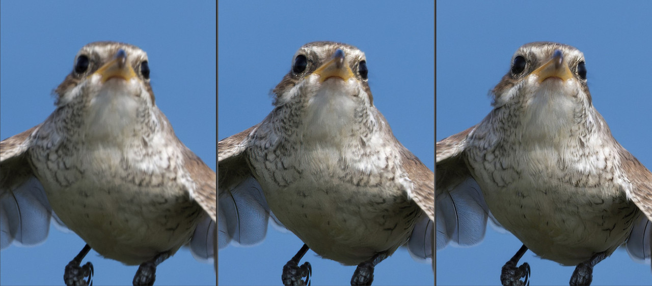 ACDSeeProfessional2023_q7lLP2Xg4Y