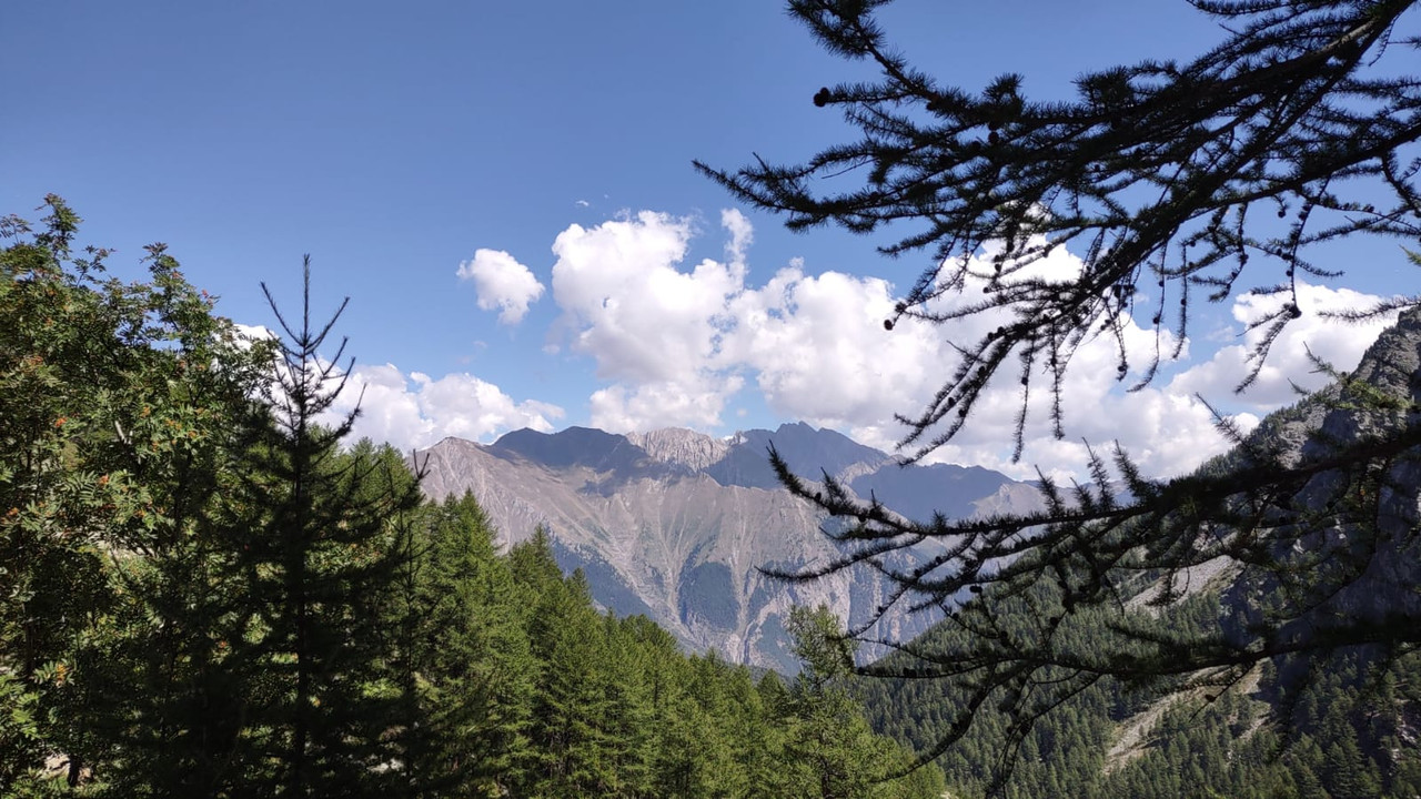 4E96EF23-75A5-4E17-80AE-625CD234826F