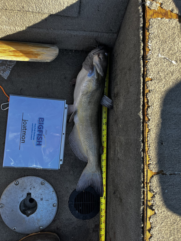 95D518B0-8B1F-4274-853A-77319589A236