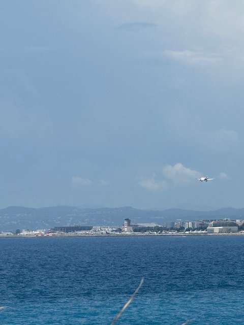 IMG-4400.jpg