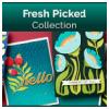 Fresh Picked<br>Collection” height=”100″ title=”Fresh Picked<br>Collection”></a><br><a href=