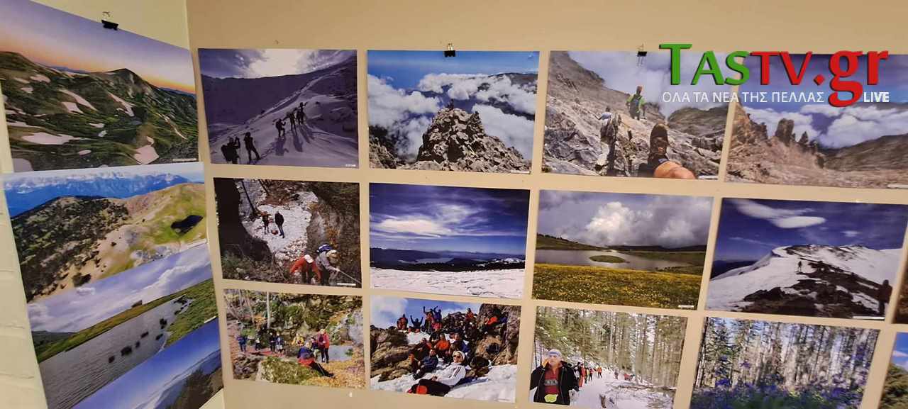 370324015-1289289768451085-236924333865806339-n