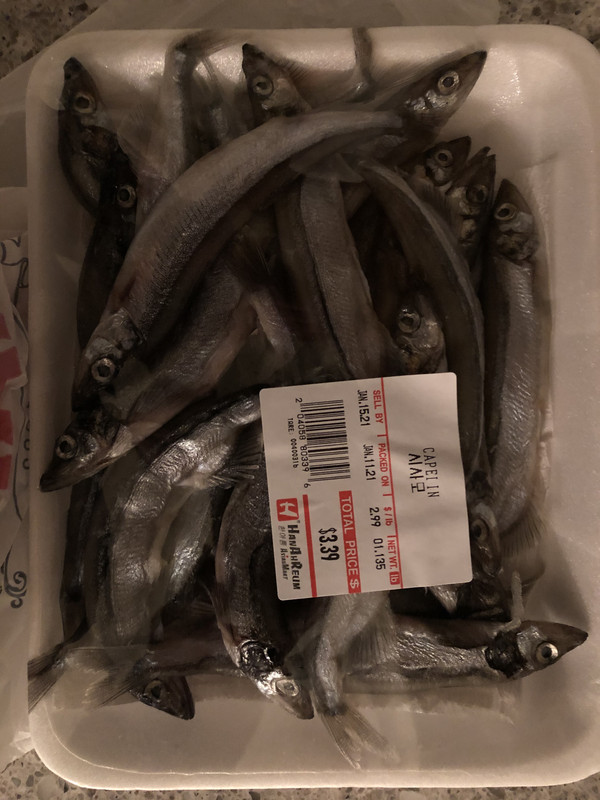 C3F34DFF-70DD-4F2F-BF89-FA4050FDD296