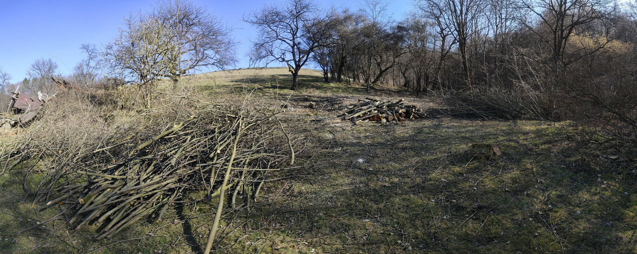 PANO 20260307 112401