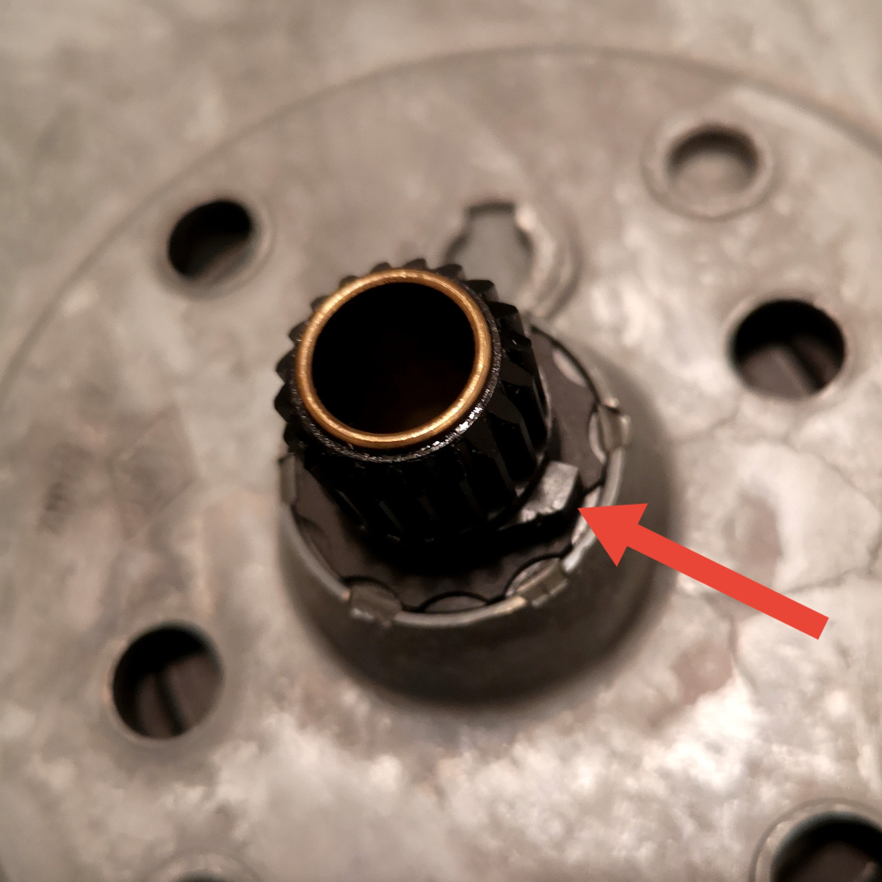 IMG 20260421 005249 edit 557948218538820