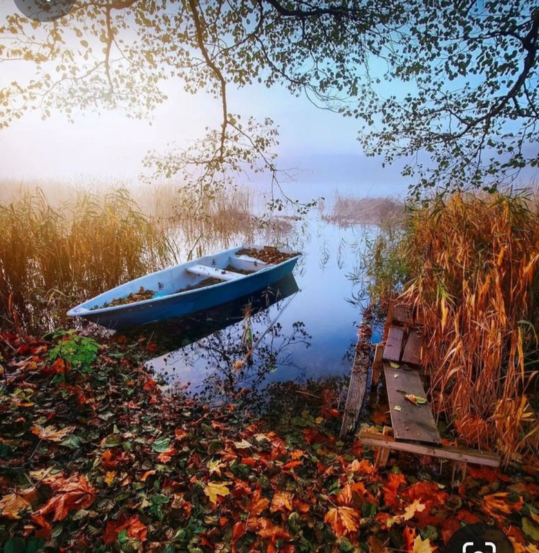 Screenshot_20231130_235901_Pinterest