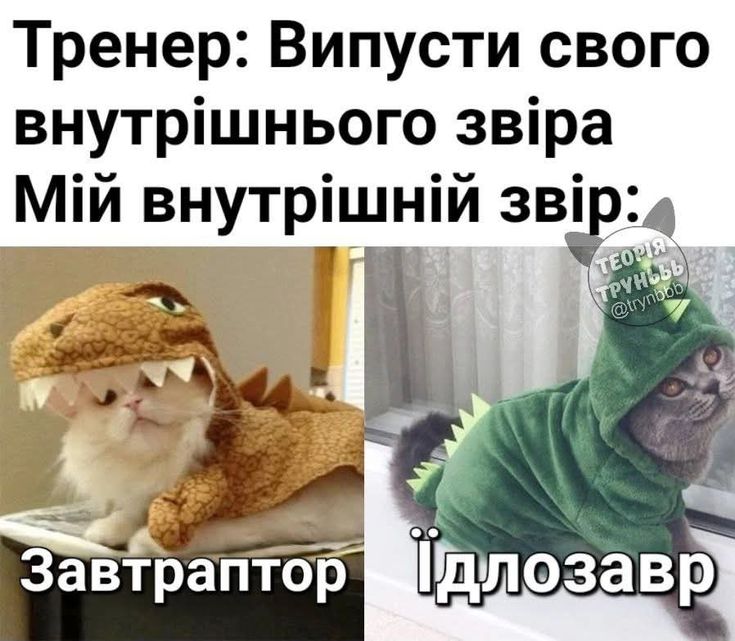 4decc46f867c4403a034767747dc29e9