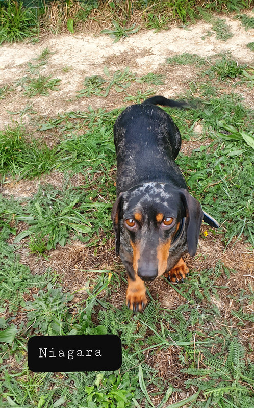 [Image: 20221001-184324.jpg]