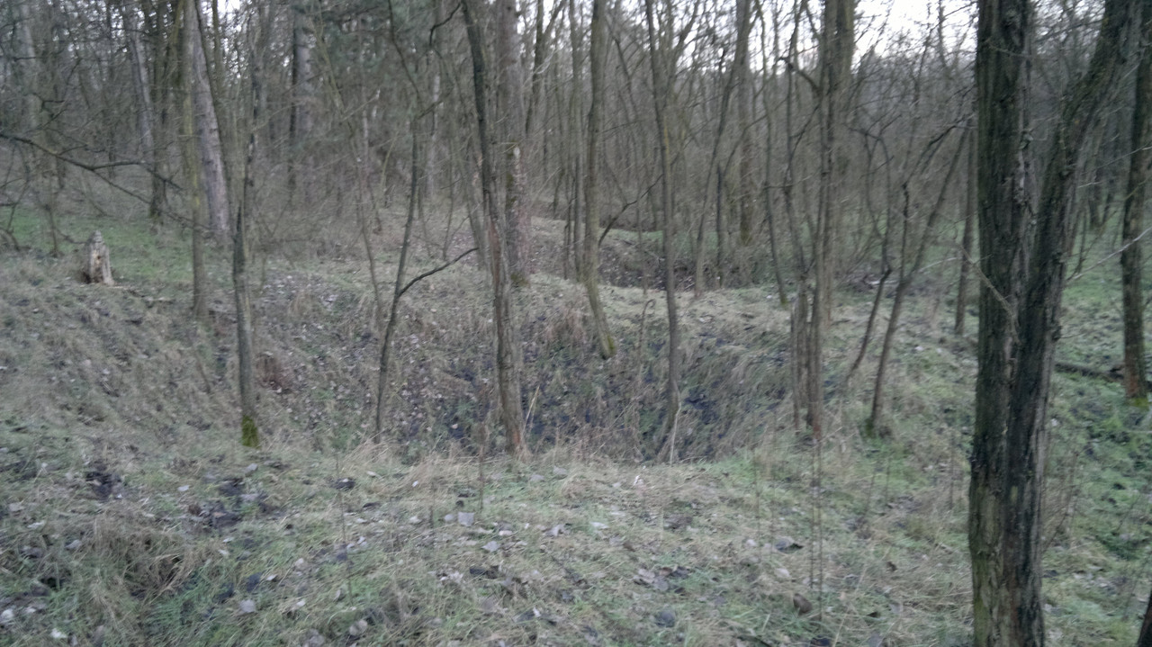 2016-01A Kálvária erdőben lévő bombatölcsérek,vagy inkább robban