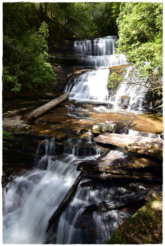 Mount Field National Park - Australia (II): Recorriendo Tasmania (10)