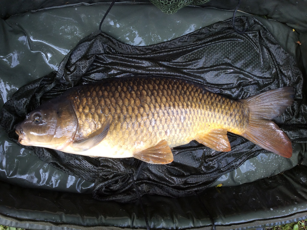 6A18B439-31BD-4238-9B3C-C7CDBDE5E2E1