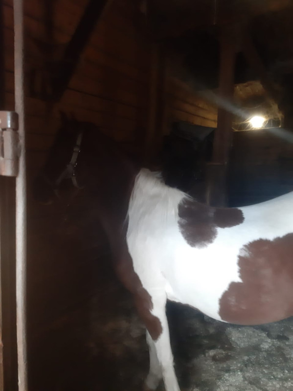 WhatsApp Image 2021-03-10 at 09.27.16 (2)