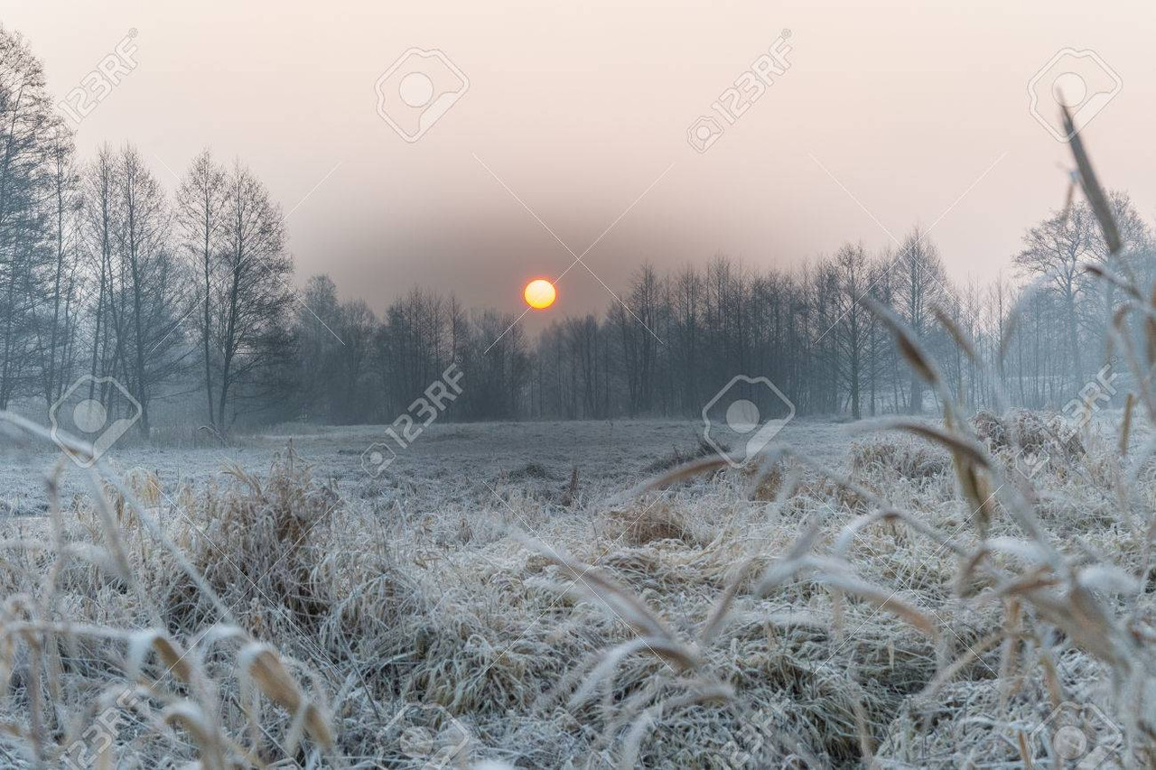 37652474 hoarfrost rime and frost on the fields meadows and ponds in the morning