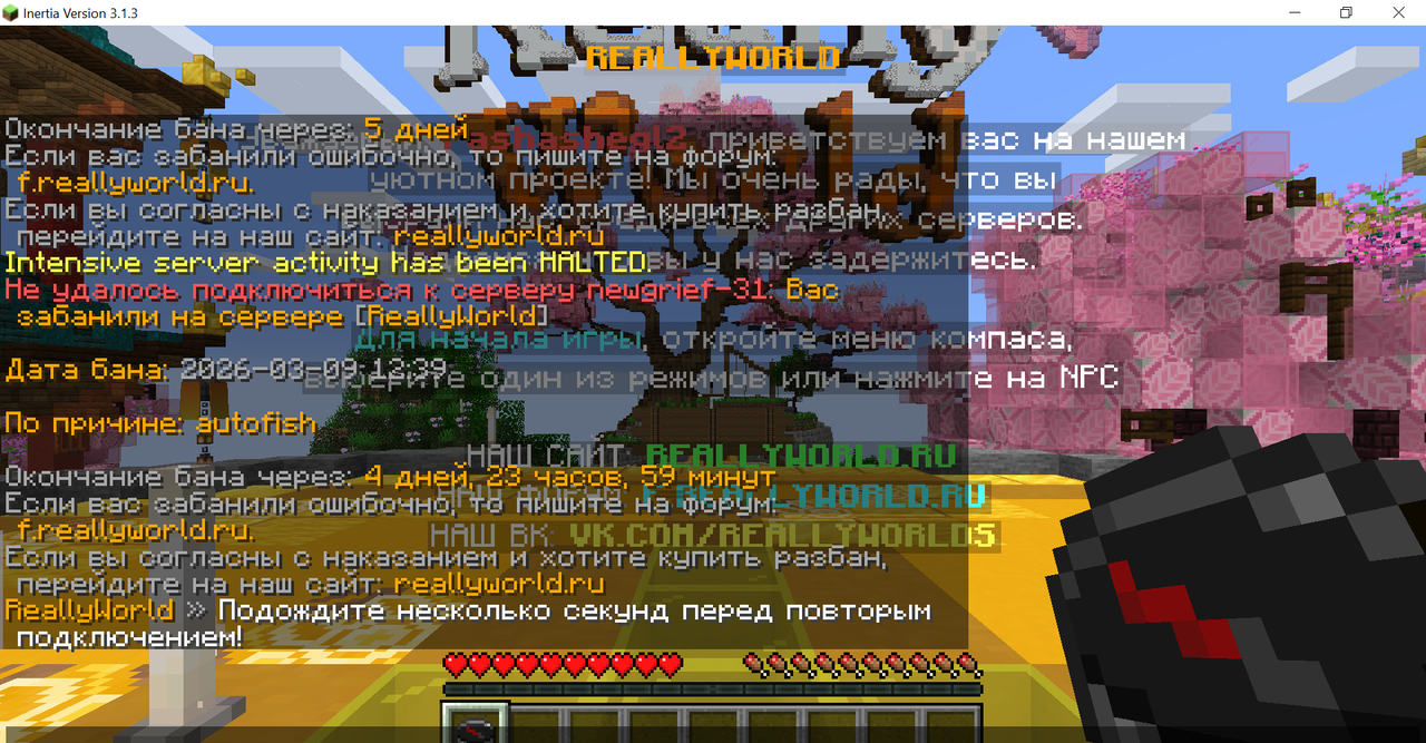 Inertia Version 3 1 3 09 03 2026 12 44 23