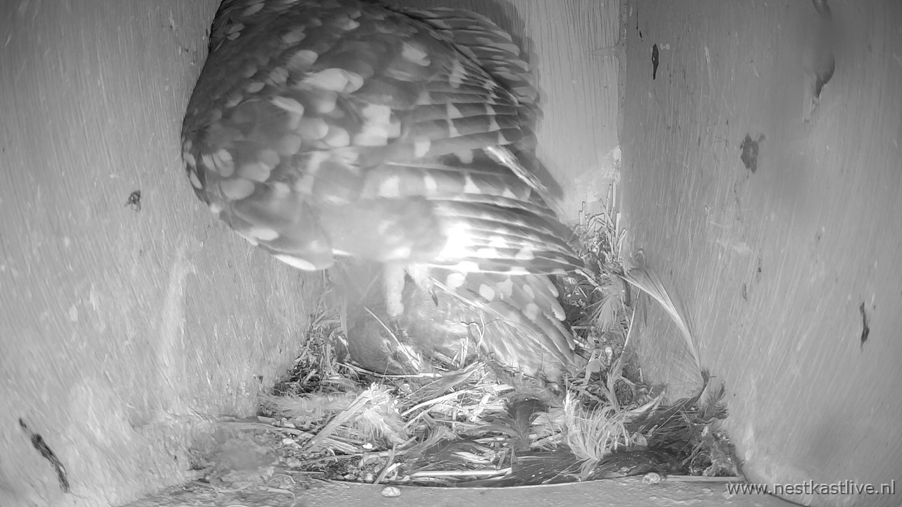 snapshot - 2025-05-14T224901.664