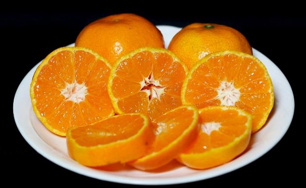 Do Conures Eat Oranges