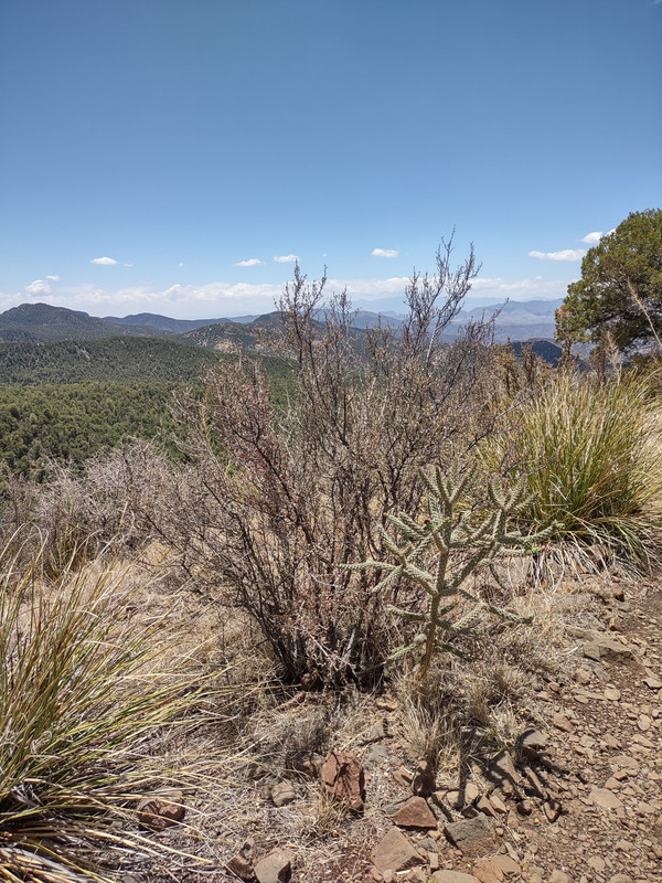 IMG_20250704_122954495_HDR