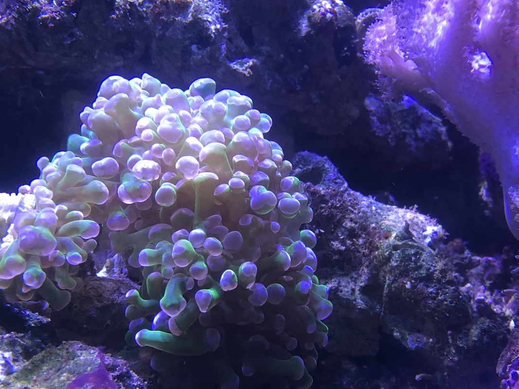 B7921A61-472F-4FDE-AB01-2F002B88B837