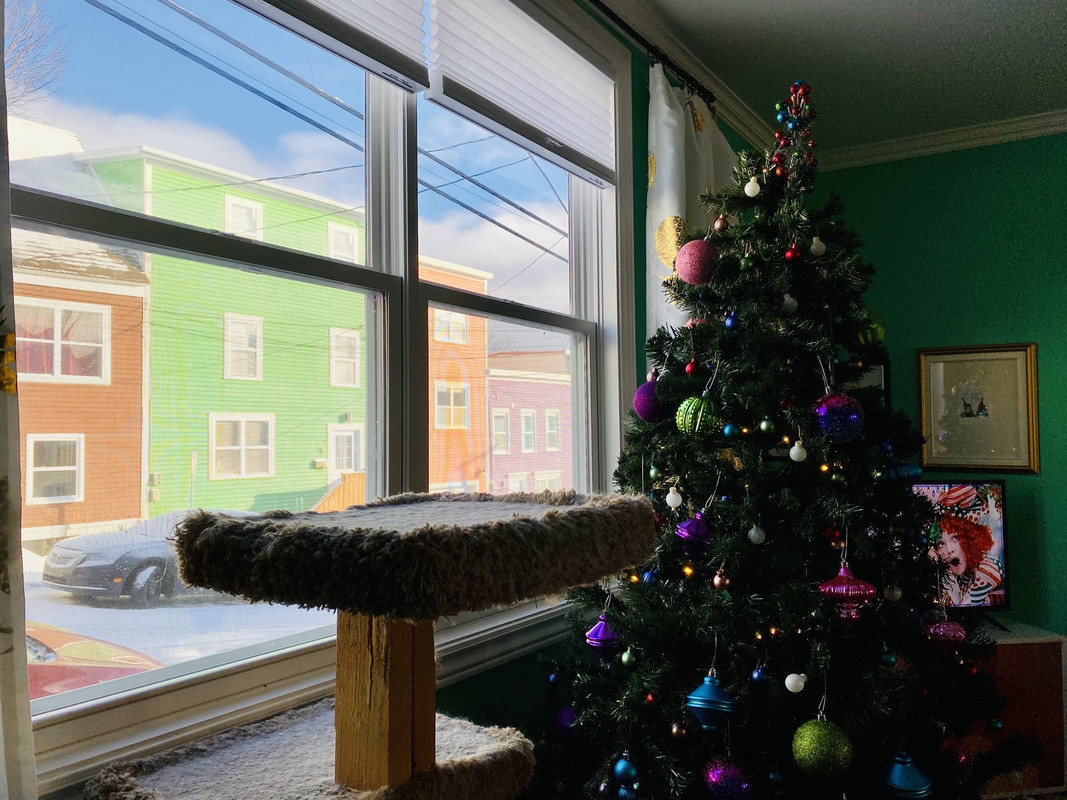 E98A8F0C-1E6C-4CEB-9EBF-F9589E2BC966