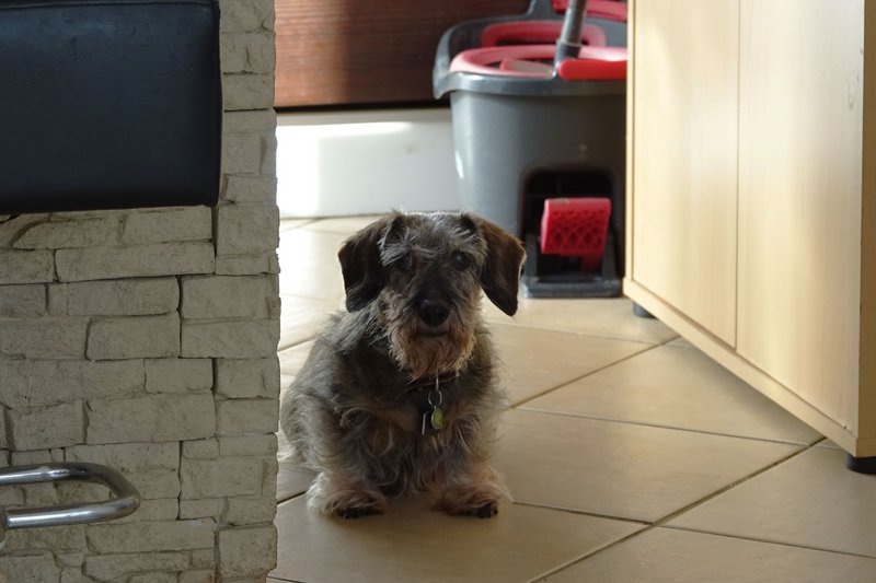 [Image: DSC00690.jpg]