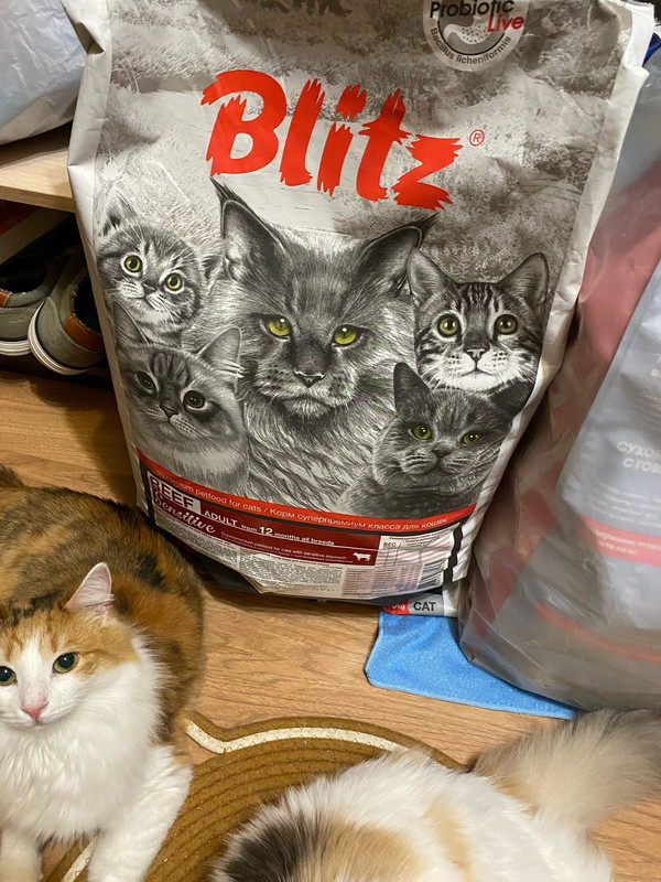 afQhXXCs6oE_6SAyTHxC7wCbkHtosop10Occda12o37xpFX6DzHeC8zTq0-MT4mm1jOsoNwnaaB5LydqEc22Y79_