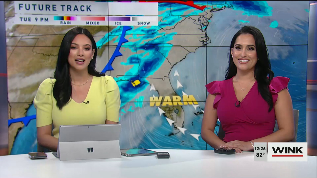 01.02 - 17.00.00 - The WINK Noon News  ᴺᵉʷ. Midday news update..ts_snapshot_32.33.129