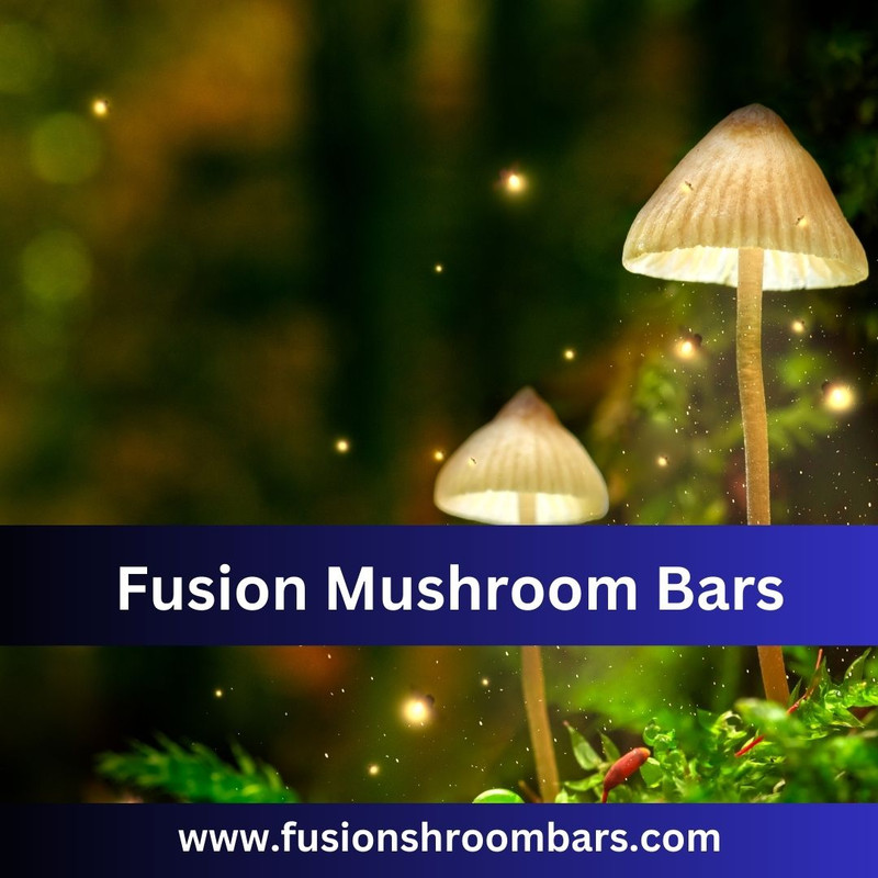 Fusion Mushroom Bars
