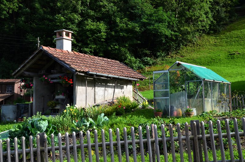 BRIENZ E ISELTWALD-9-9-2019 - Suiza y sus pueblos-2019 (21)
