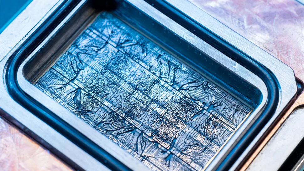 jy-HLt-PSLXBRMGo-PUNHBfh-X-970-80-jpg.we