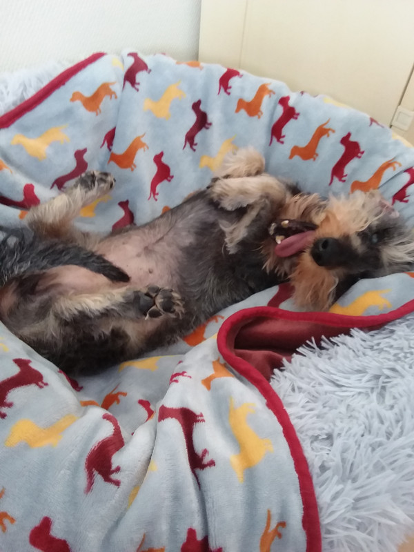 [Image: 20210210-100238.jpg]