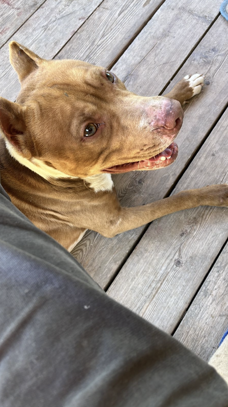 Снимок экрана 2024-05-27 в 19.55.15