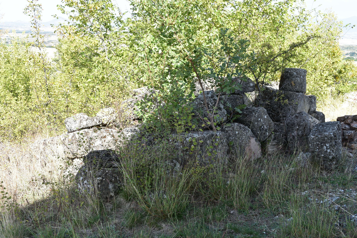 Αρχαία Αιανή (22)