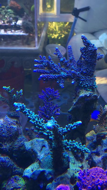 35FAB004-8392-4215-A03F-69B931ECFC30