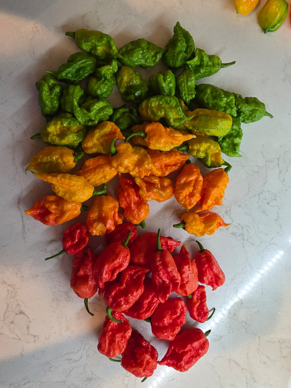 Whats App Image 2025 11 04 at 12 44 22 PM